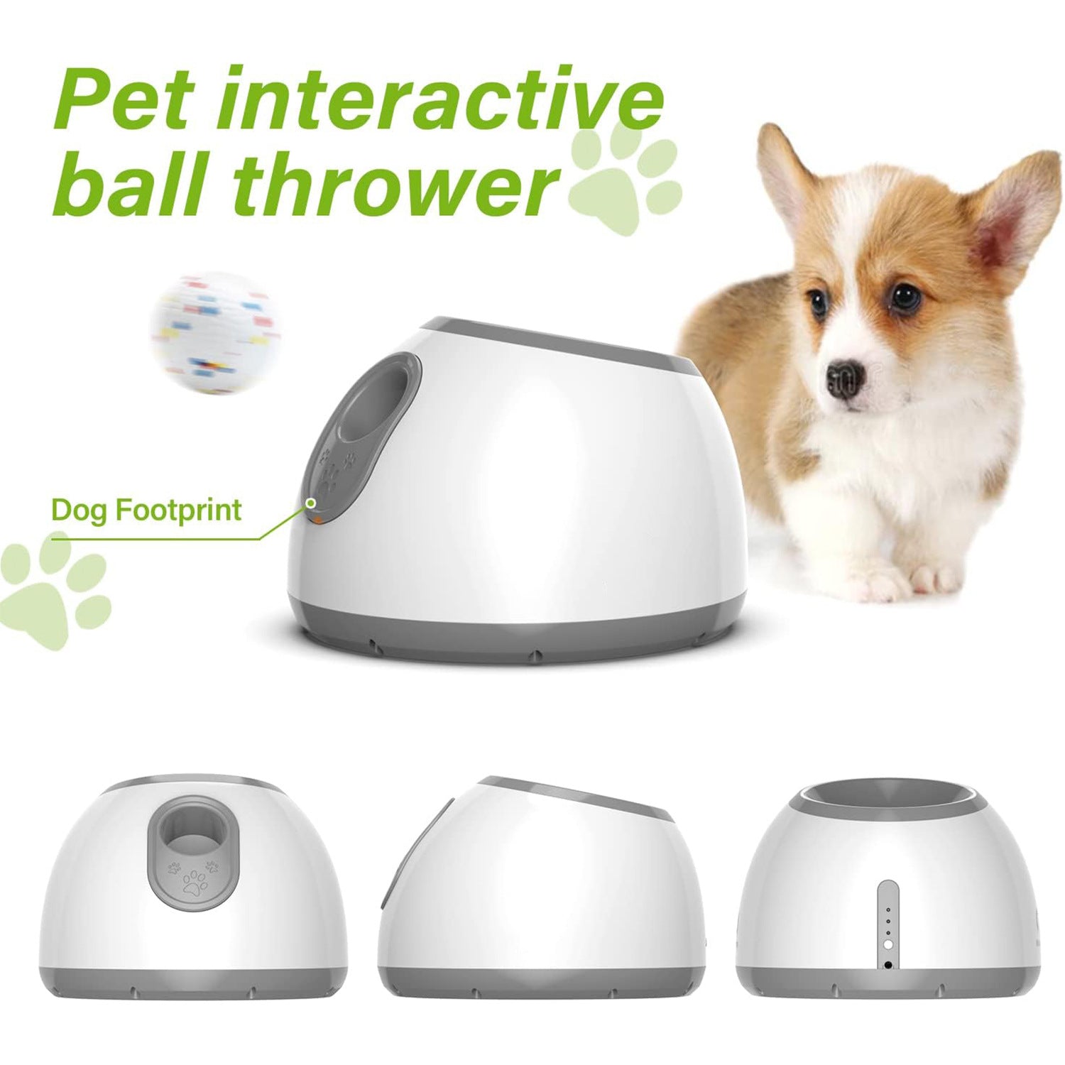 Pet automatic launcher